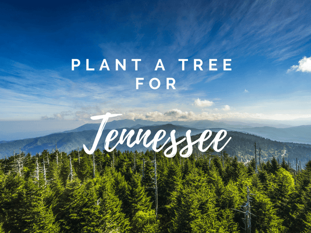 Tenessee Treepeople Plant a Tree for Someone in Tennessee - Memorial & Tribute Trees | A ...