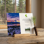 Memorial card with a scenic landscape and a small plant on a wooden surface.