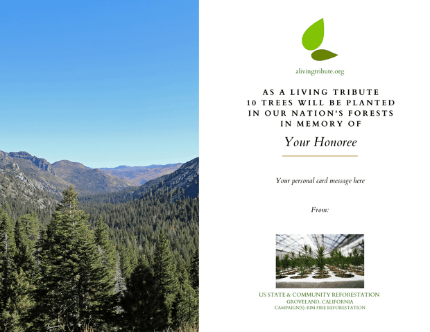 Plant a Tree for Someone & Restore a Community - A Living Tribute