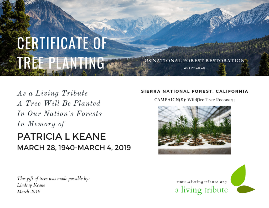 Rooted Pet Memorial  Tree Planting Certificate - Paper – RootedPet.com