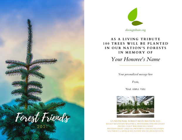 Forest Friends Tree Gift - A Living Tribute