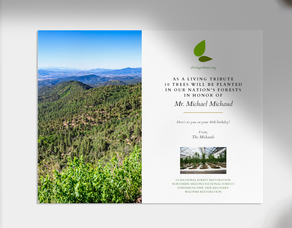 Plant a Tree For Someone in a National Forest - A Living Tribute | A ...
