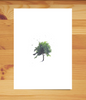 Plant-a-Tree Sympathy Card - Watercolor Tree