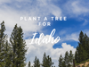 Plant a Tree for Idaho