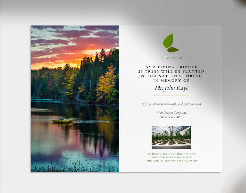 Plant a Tree For Someone in a National Forest - A Living Tribute | A ...