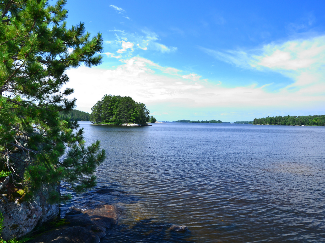 Plant a Tree for Someone in Minnesota - Memorial & Tribute Trees | A ...