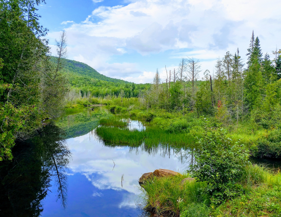 Upstate New York Tributaries