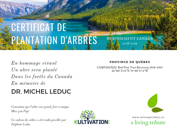 Plant a Tree in Canada with Personalized E-Certificate