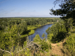 Riparian Tree Planting