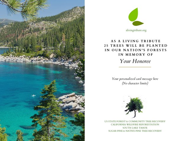 Plant a Tree for Someone & Restore a Community - A Living Tribute