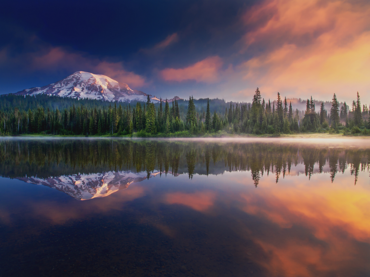 Plant a Tree for Someone in Washington - Memorial & Tribute Trees | A ...