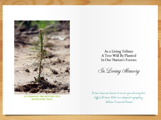 Tree Planting Cards Plant-a-Tree Cards | A Living Tribute