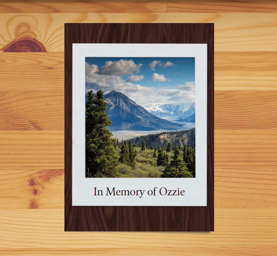 Woodsy Decor Pet Memorial Photo Frame Memory of Picture in