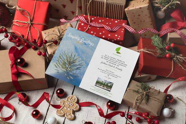 Tree Planting Cards Plant A Tree In Canada With Mailed Commemorative Card – MNPUN