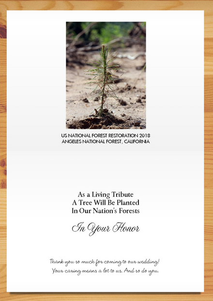 Tree Planting Cards Plant-a-Tree Cards | A Living Tribute